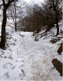 The track to Assembly in early April. Competitors' cars were parking elsewhere, but traders vans, Portaloos, commentary and officials' cars needed to drive through here