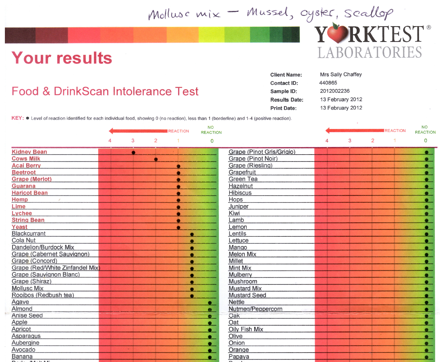 York Test 2012