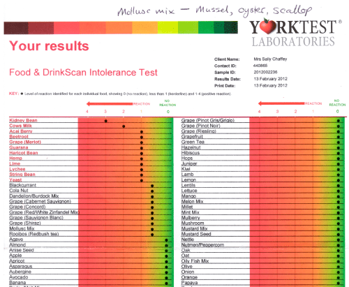 York Test 2012